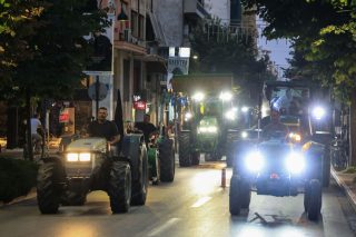 agrotes larisa 7-2025